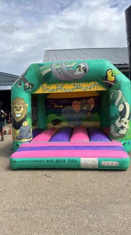 Frozen Theme Bouncy Castle
