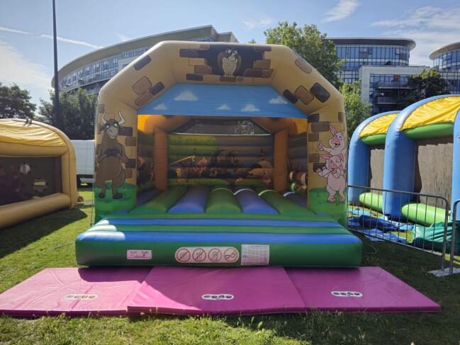 Jungle Mini Slide