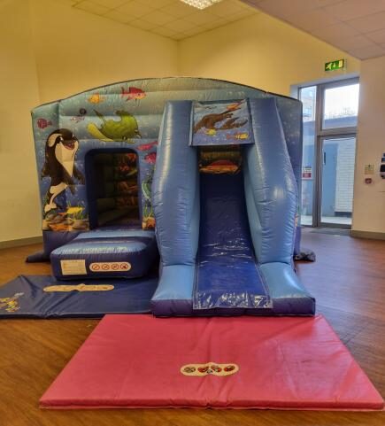 Toy Box Bouncy Castle